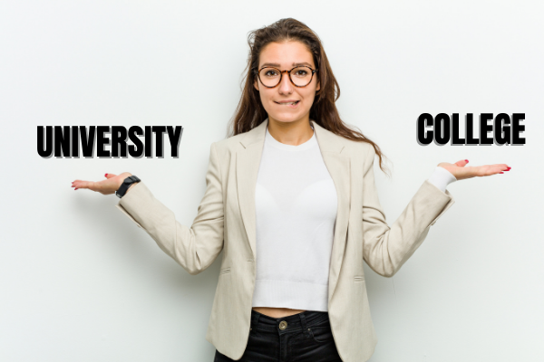 Difference between college and university