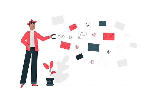 What are the types of email formats