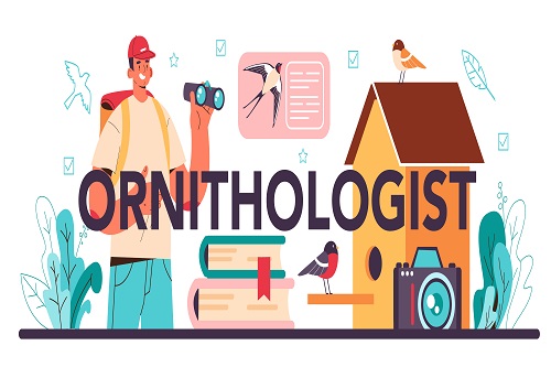 how to become an Ornithologists- the study of birds