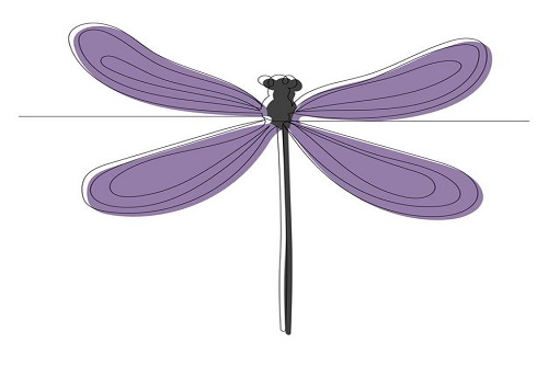 Entomology - universities 