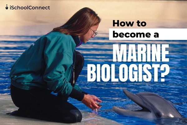 How to become a Marine Biologist
