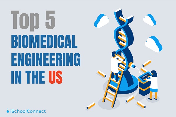 Top 5 biomedical engineering colleges in the USA