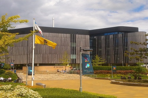 University of Southampton for marine engineering