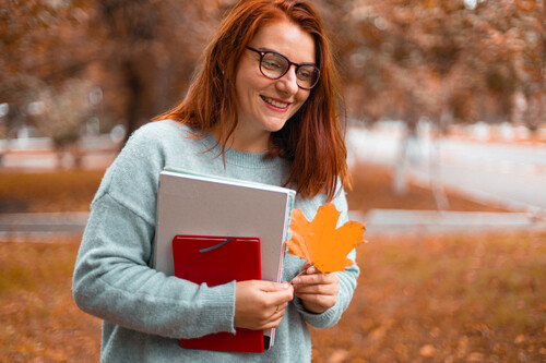 Seneca College IELTS requirement